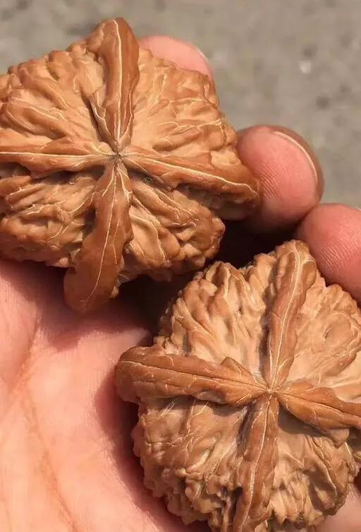 文玩核桃阴皮和返油怎么办？刚人坑文玩伙伴欢迎评说！