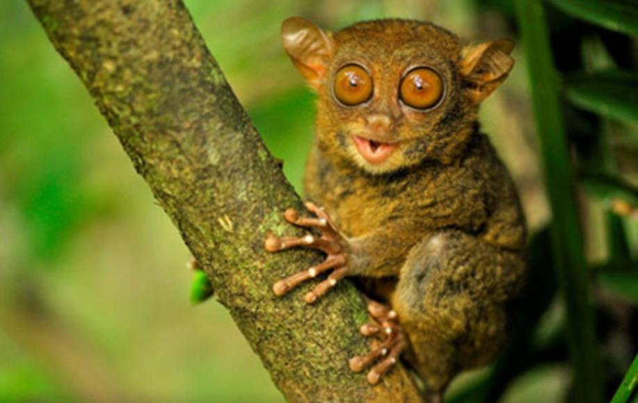 避免拥堵国庆旅游路线,假期省内游避堵攻略