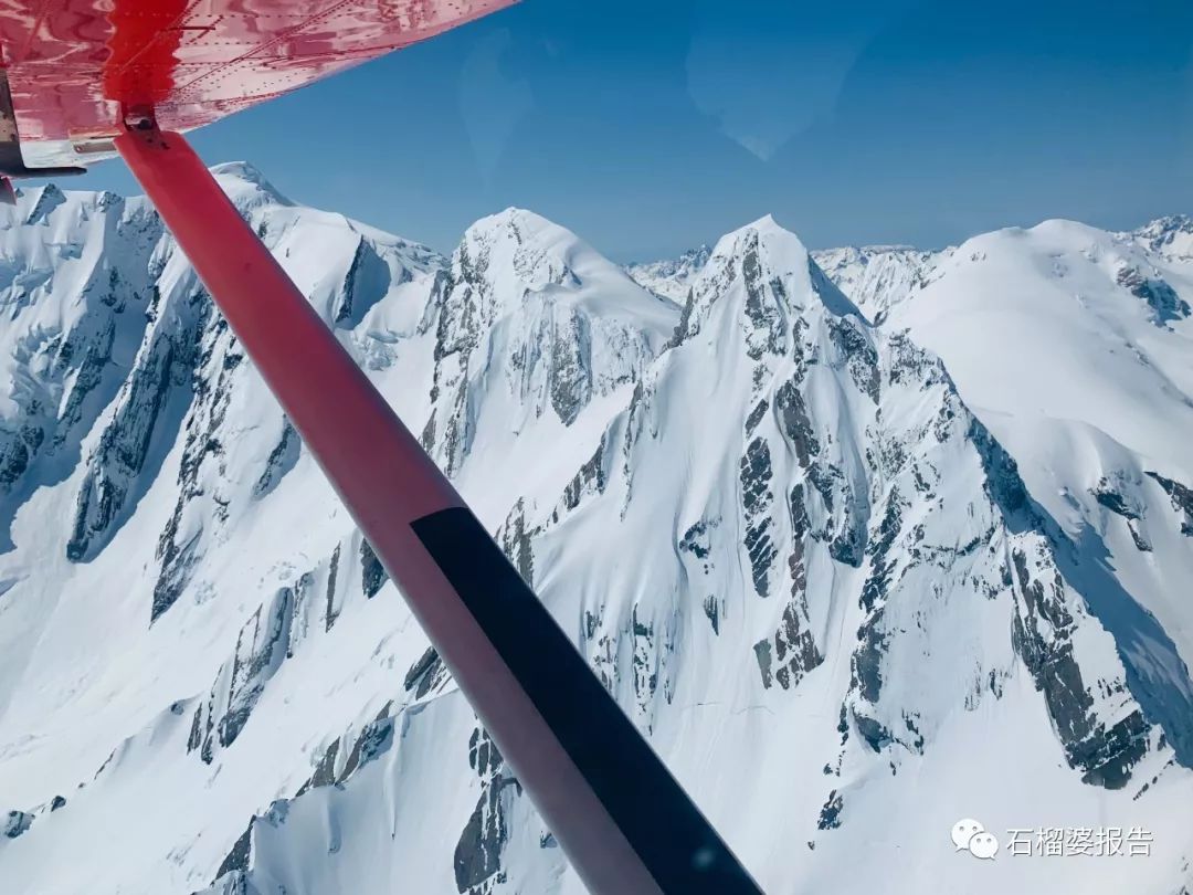 旅行7天,新西兰霍比特人村游记