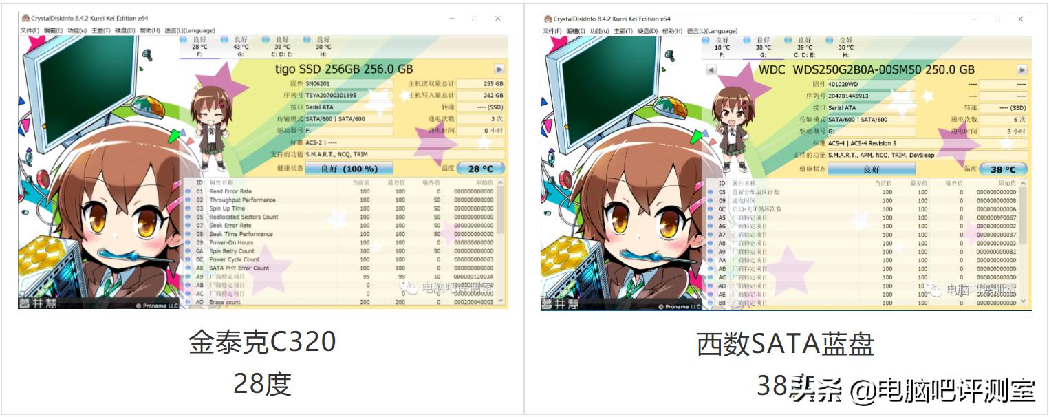 威刚sp580固态金泰克c320,金泰克c320sata固态硬盘怎样