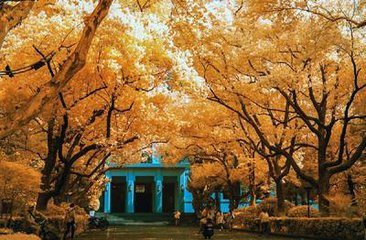 中考物理必考题讲解压强公式,中考物理考点速记压强