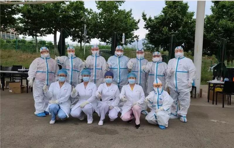 这里的玉兰花开了