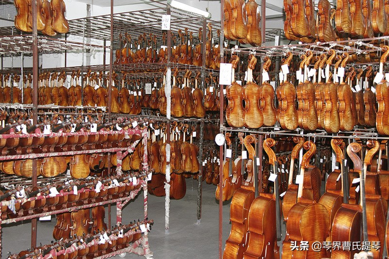 日本老师到中国,日本小提琴老师简介