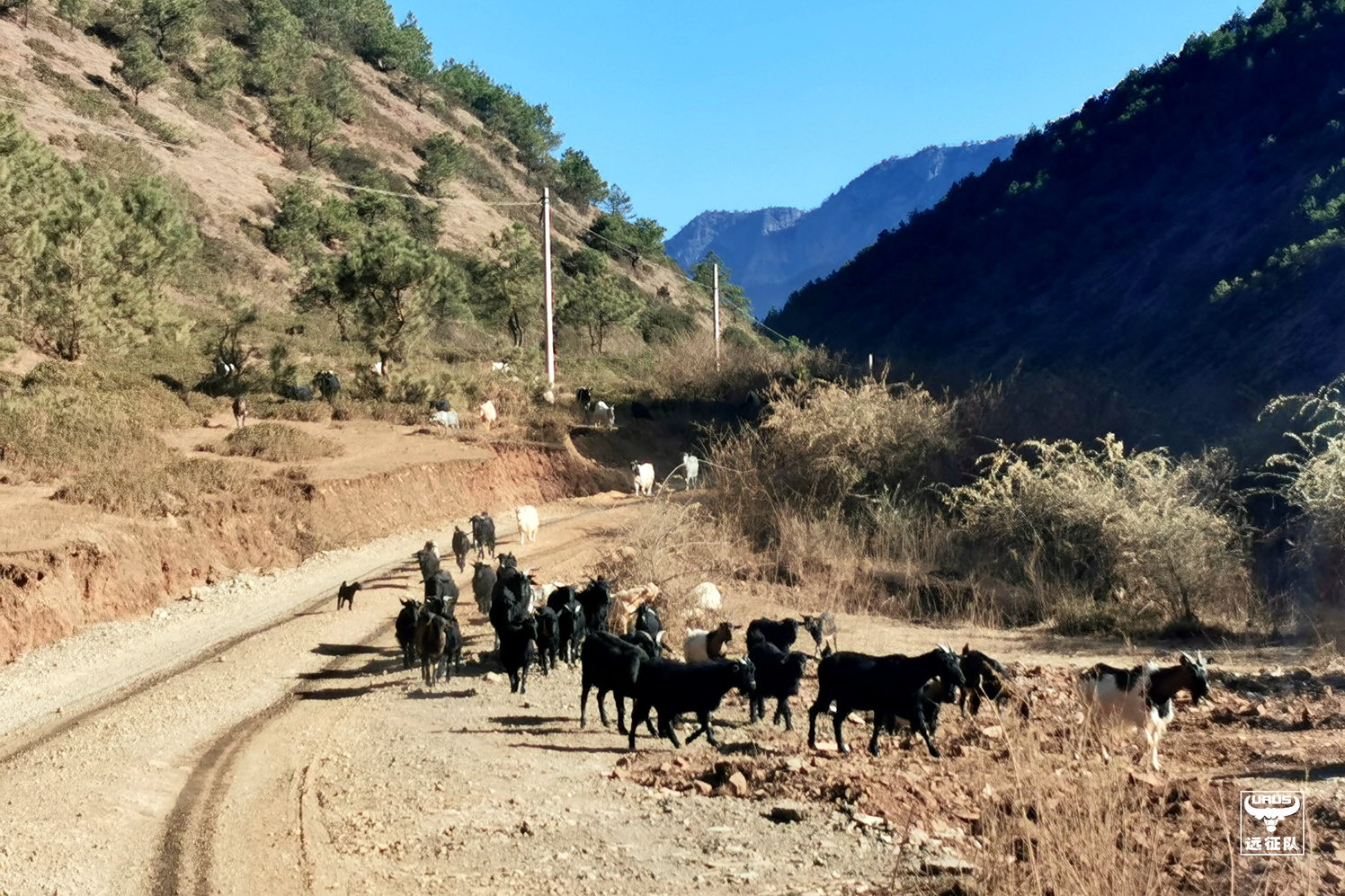 稻城亚丁至玛娜茶金如何走,四川木里县到玛娜茶金自驾