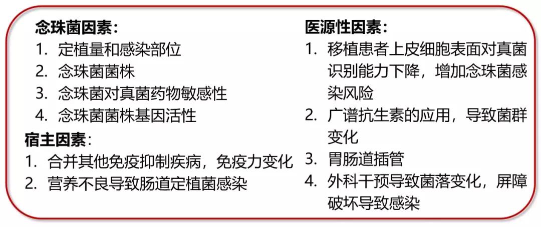 怎样确诊肺部真菌感染,侵袭性肺真菌病的确诊标准有哪些