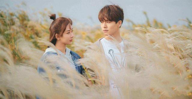 陆贞传奇杨紫戏多吗,杨紫新剧《承欢记》收视率