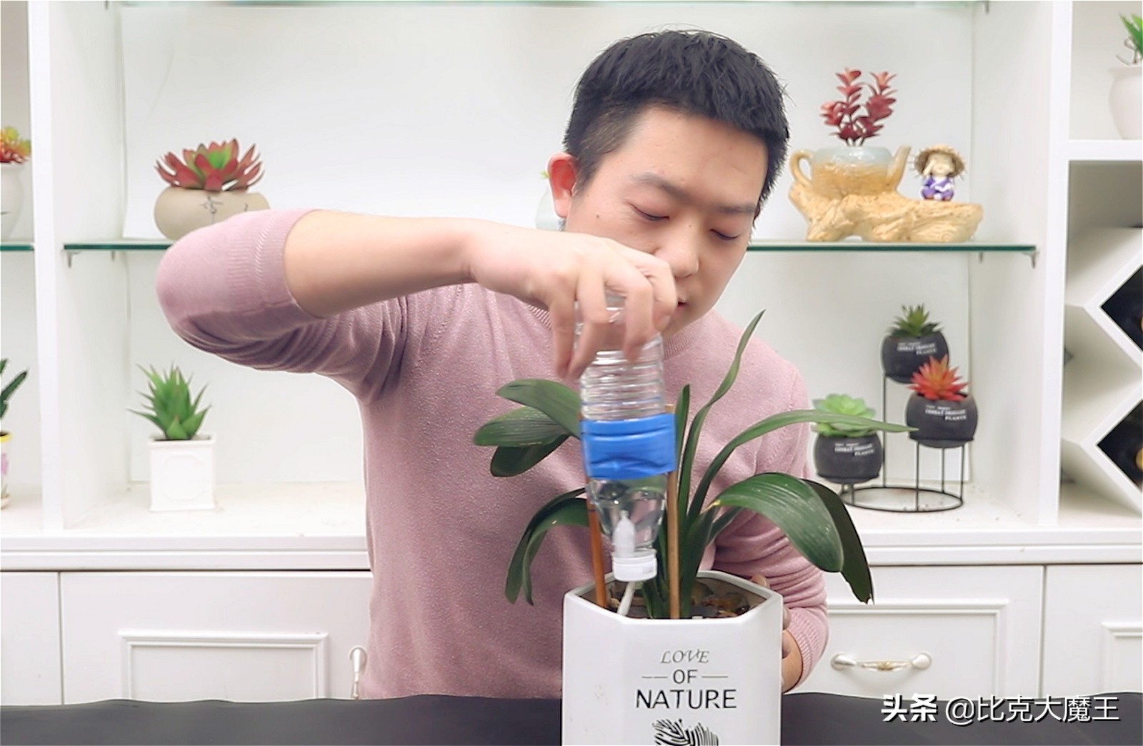 如何用塑料瓶做自动浇花神器,用塑料瓶做自动浇花器