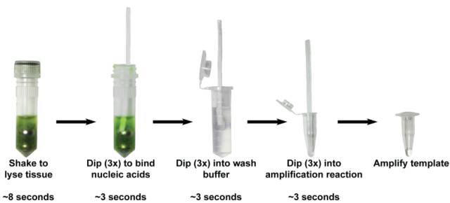 dna提取有时间限制吗,dna提取多少钱