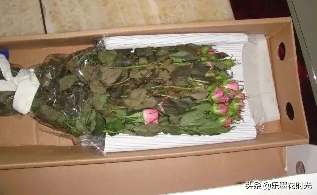 一件代发是风口还是割韭菜,花店一件代发