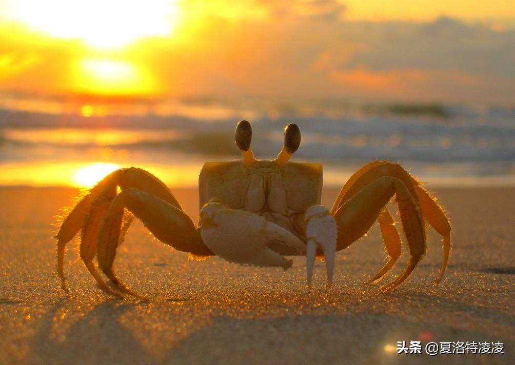 亲爱的老屋拆迁,亲爱的老屋的散文