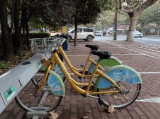 邯郸公共电动自行车,邯郸公共自行车现在能用吗