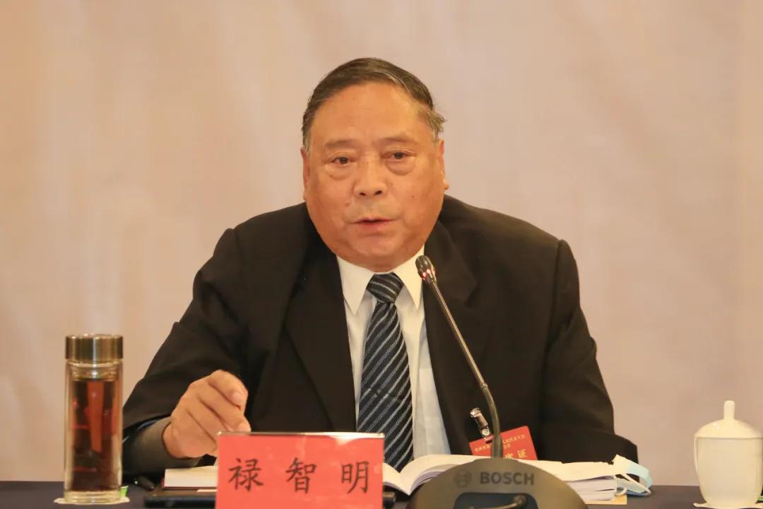 毕节市代表团,毕节市代表团入场