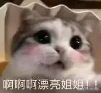 中建中铁海外哪个项目最好,中铁中建的海外公司怎样