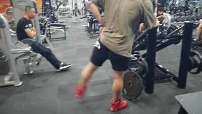 古典健体之王陈康胸肌训练,陈能健体动作