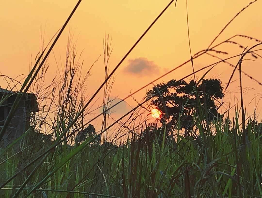 想了解外派？我在非洲搬砖的日子（工作篇），11个月的外派生涯