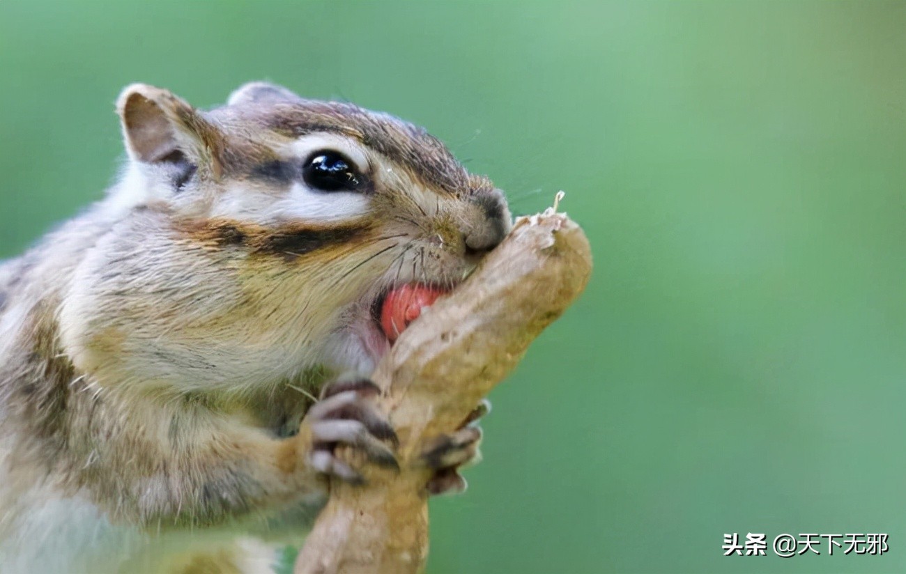 中国无神论思想的历史,中国无神论简史