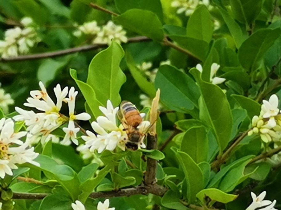 康养福地岳西,康养休闲度假旅游最佳地
