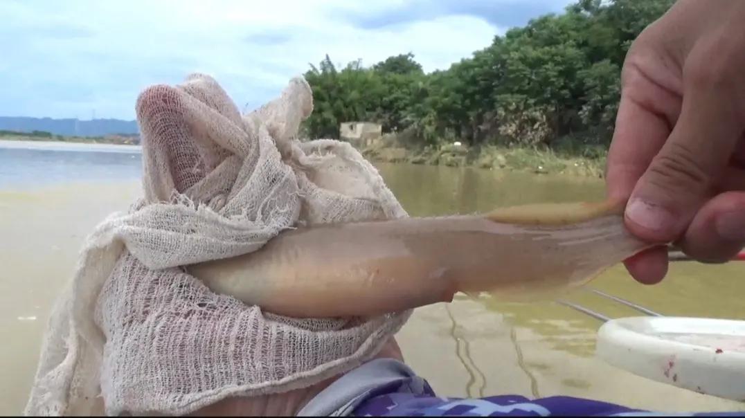 钓到牢底坐穿兽放生,钓鱼钓到鱼不要放生还会被罚吗