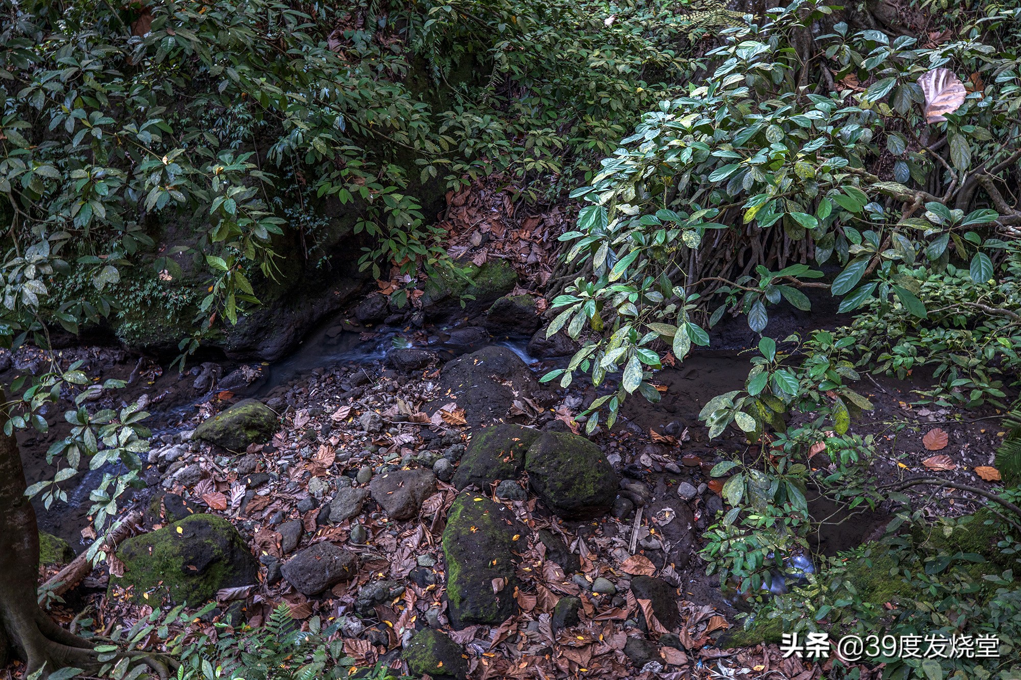 浣宠兘骞胯闀滃ご15-35,浣宠兘rf骞胯闀滃ごrf18