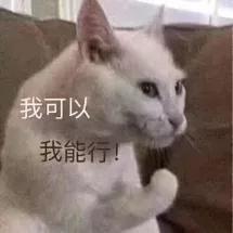 今夜我们都是瓜田里的猹，《合成大西瓜》为什么这么火？