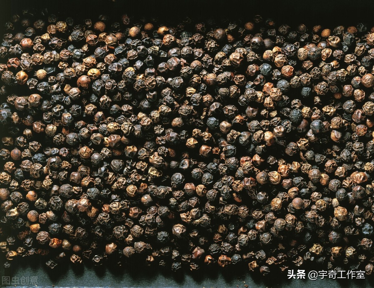 英国东印度公司是不是英国的呢,英国东印度公司历史