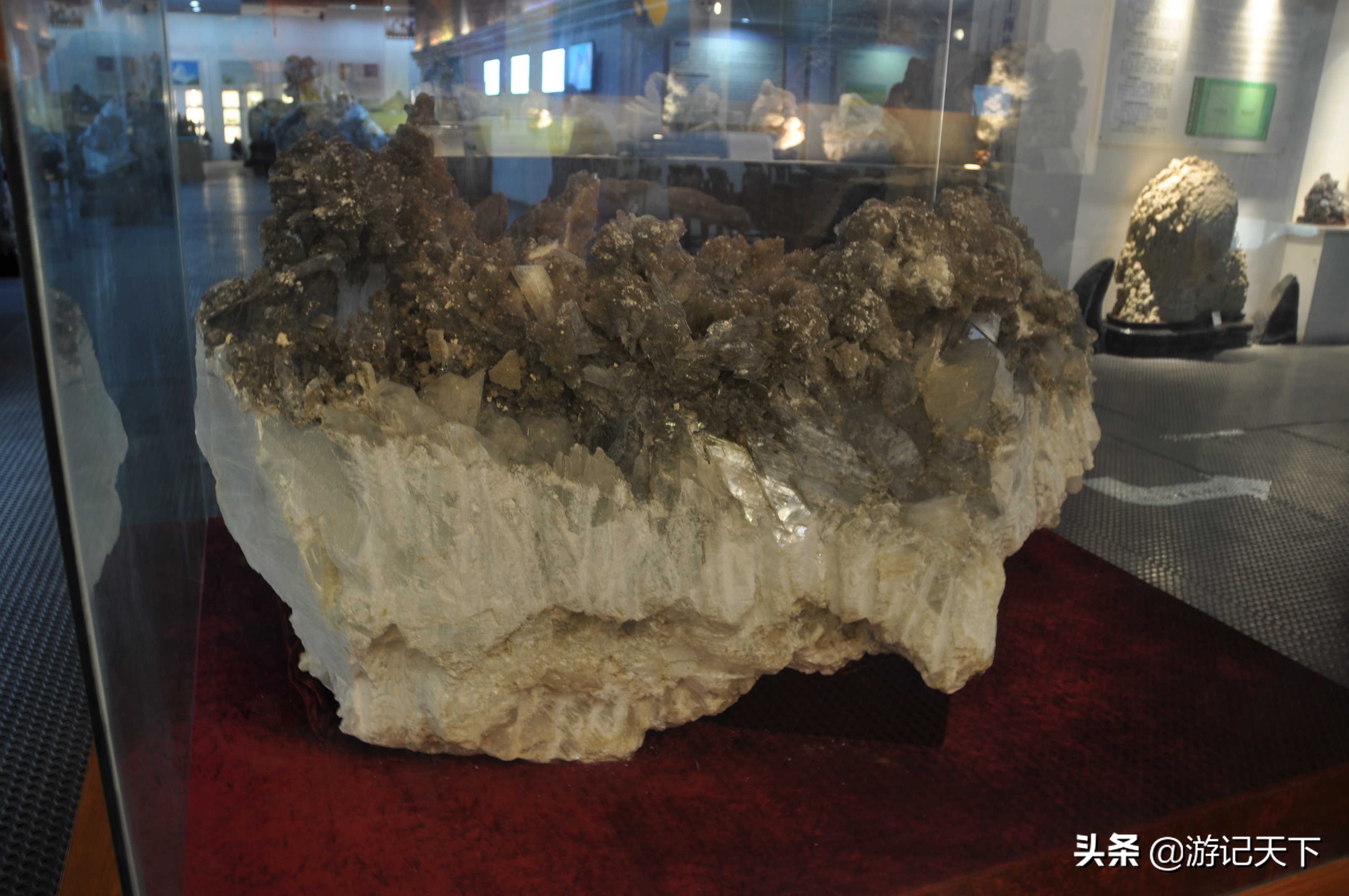 参观上海东方地质科普馆,上海东方地质科普馆需要预约吗