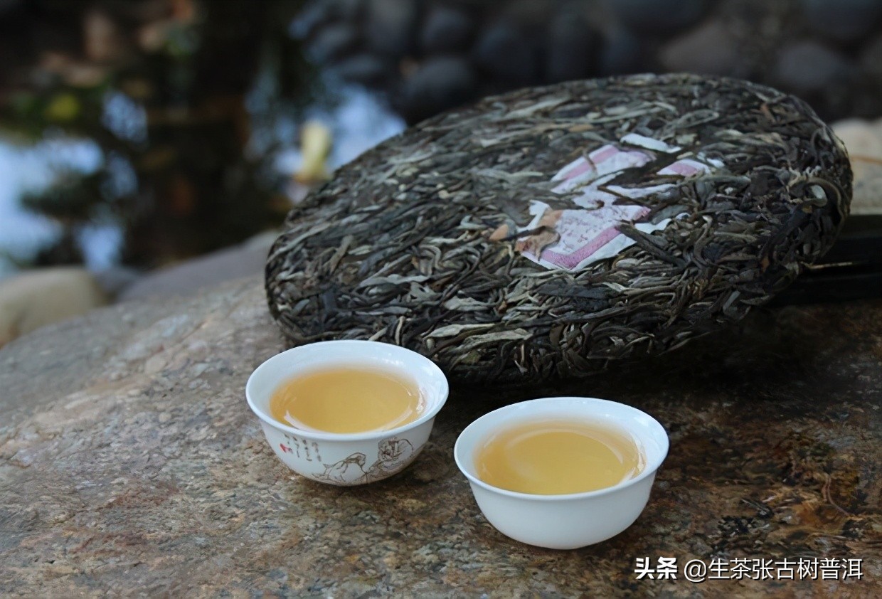 带你欣赏云南普洱美景,南糯山茶回甘