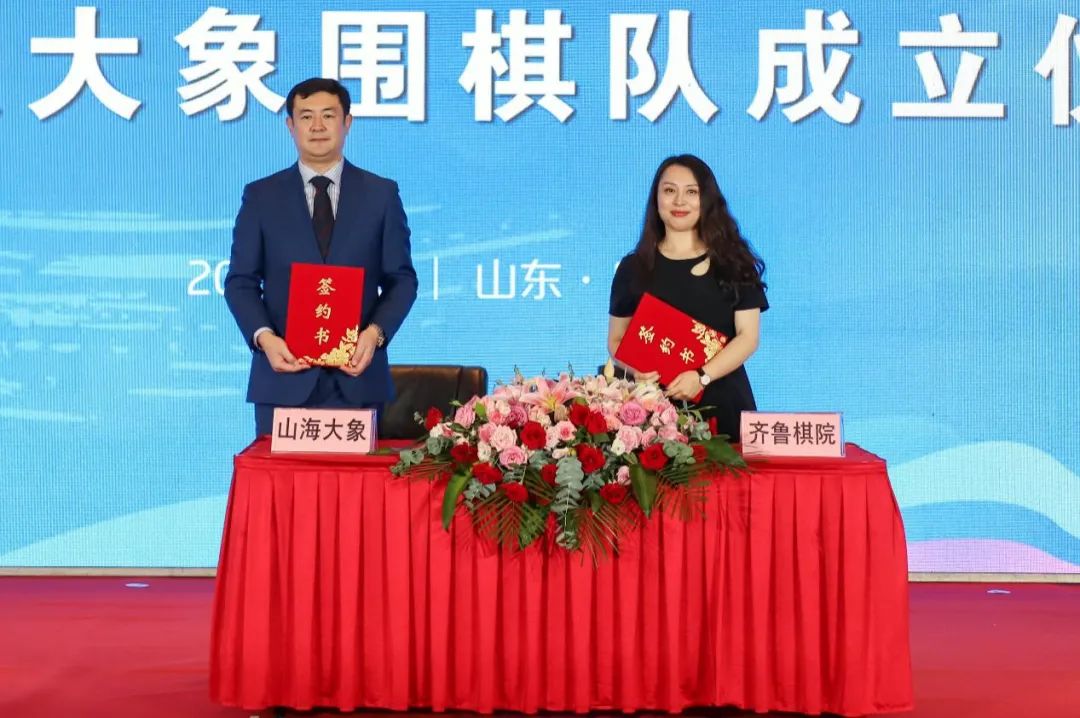 曹大元中日围棋,曹大元围棋纪录片