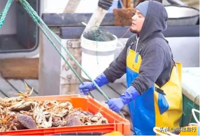 中国人宅在家里的日子，全世界：快快快撑不住了