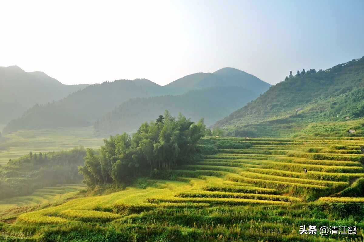 种子销售的前景,种子销售法则