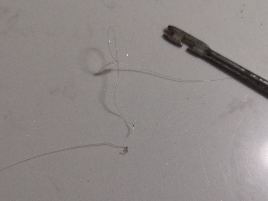 台钓子线与八字环结法,子线快速连接主线八字环方法