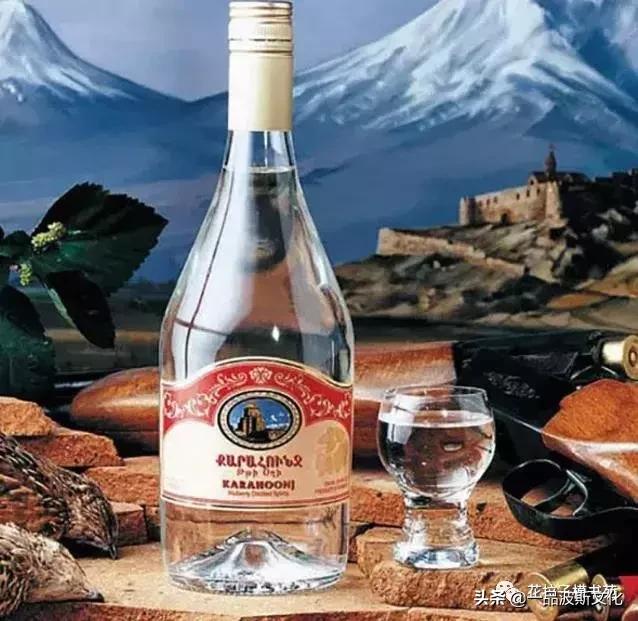 米其林十大顶级美食,高加索美食西餐厅