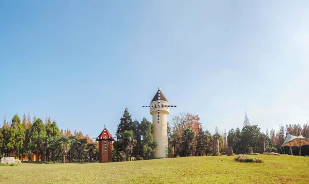 秋天来了,到崇明岛(我国第三大岛)走一圈吧