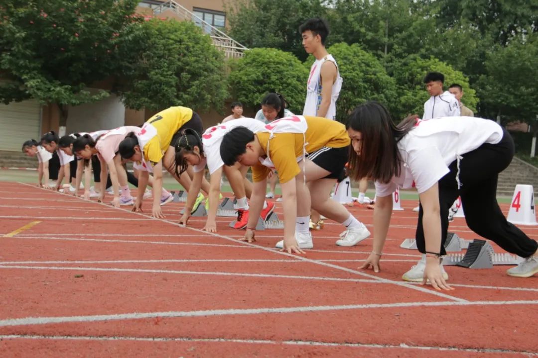 飒!123张图,带你“动+静”看赛场