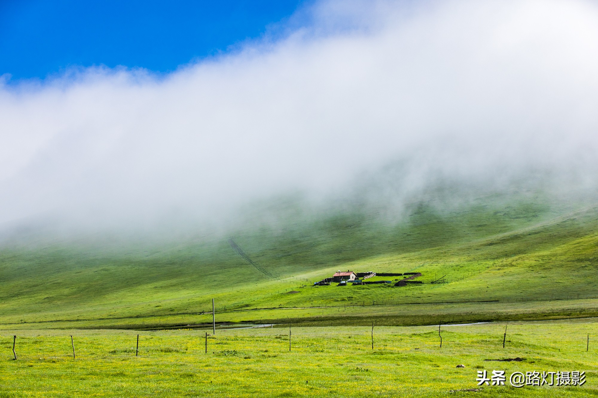 惊艳！八月最佳旅行地，“绝色甘南”美成仙境，所有景区免门票