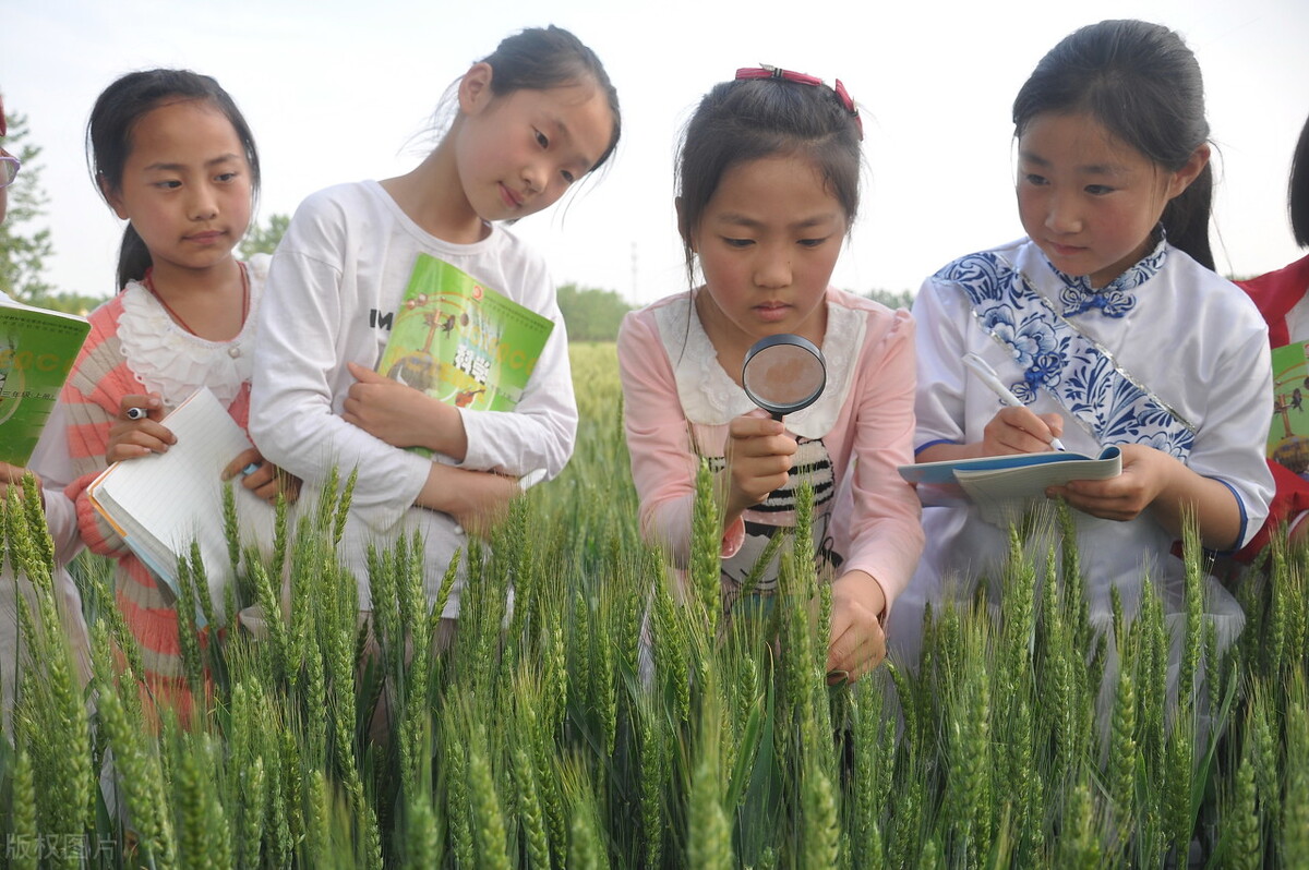 小学孩子油盐不进应该怎么做,老师如何面对油盐不进的幼儿