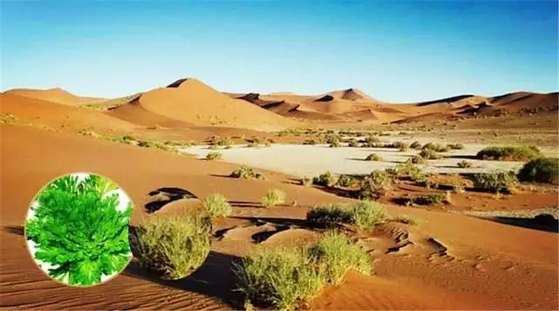 抽象词的含义是什么,抽象词含义