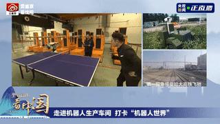 鐕冪垎杩欎釜鏄ヨ妭,鐕冪垎杩欎釜鍐ぉ