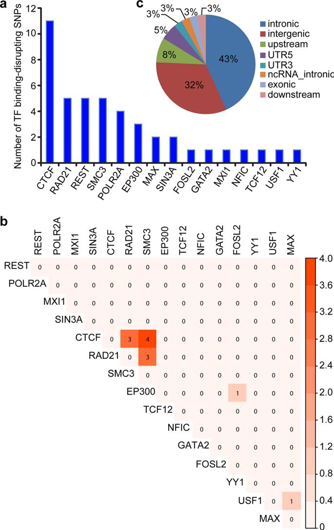 双歧杆菌可以治疗抑郁焦虑吗,抑郁患者吃双歧杆菌有用吗