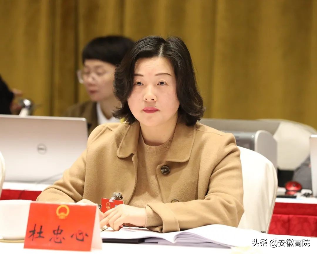 代表委员看法院,代表委员看法院执行