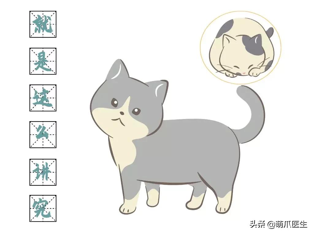 “你根本不爱猫，你就是馋它的身子！”