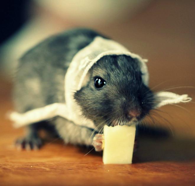 农村闰月是啥意思,闰四月农民怕什么