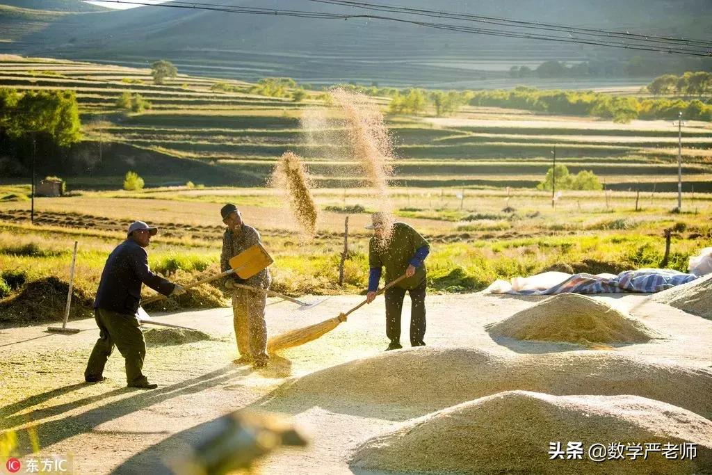 中国农民丰收节秋分节气同一天,农历秋分日为中国农民丰收节