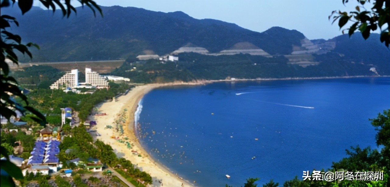 深圳一日游必去的十个免费景点,深圳一日游必去十大网红景点