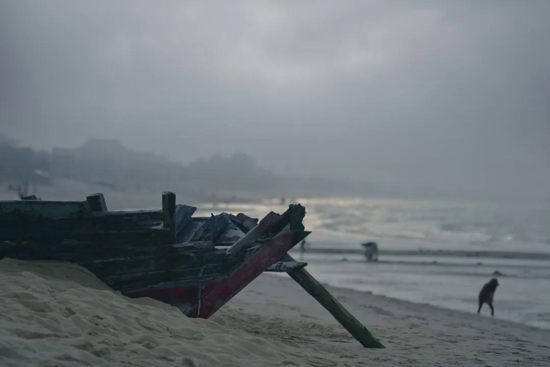 津门网向杰：盈滨半岛夕阳红