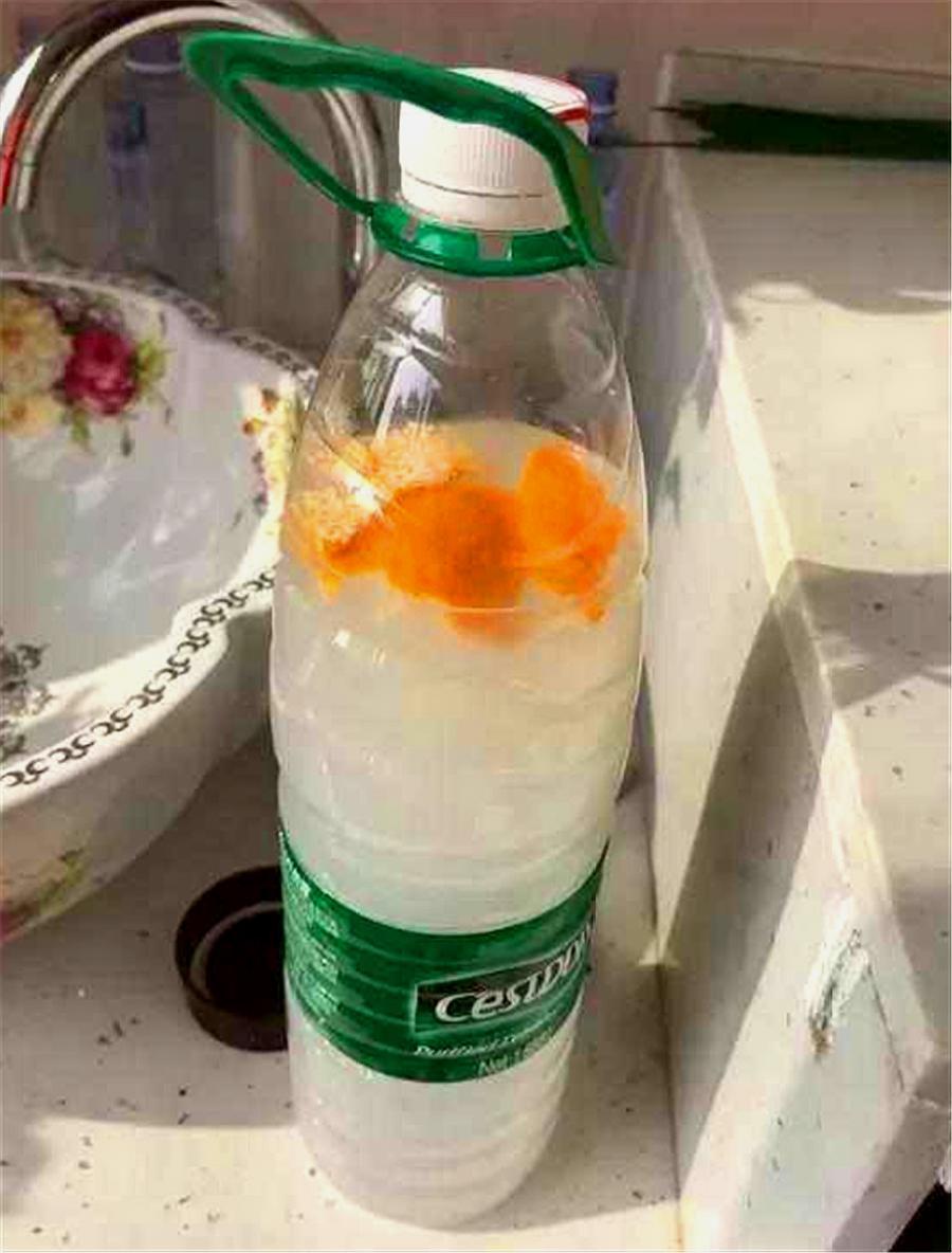 金鱼吊兰不开花的原因及解决方法,金鱼吊兰开花的时候需要施肥吗