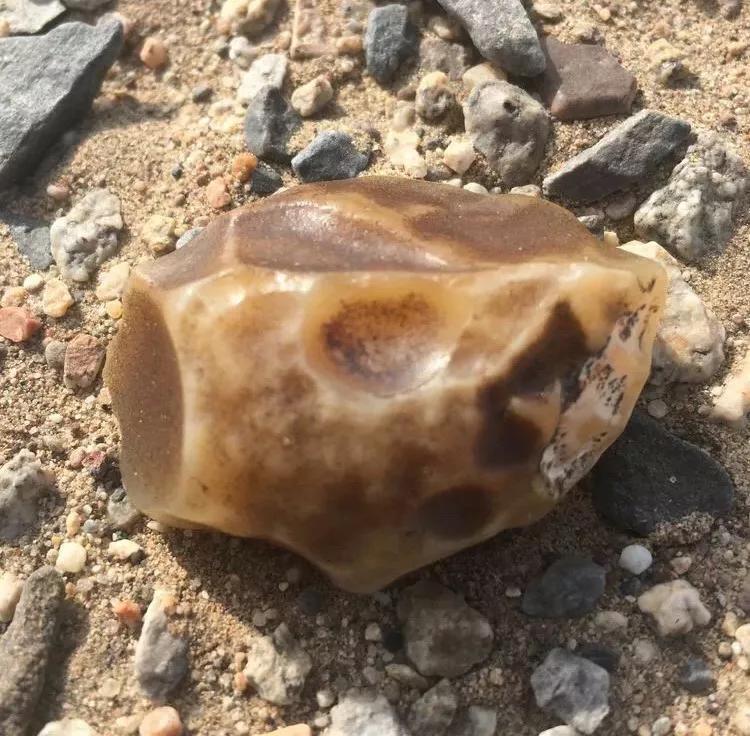 起步价5位数，究竟是什么样的石头，让那么多人冒死去捡