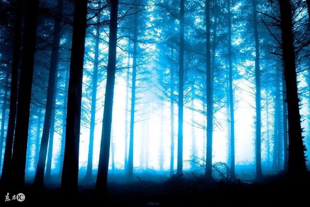 男子突然收到一包裹完整视频,男子收到包裹后打开却送了命