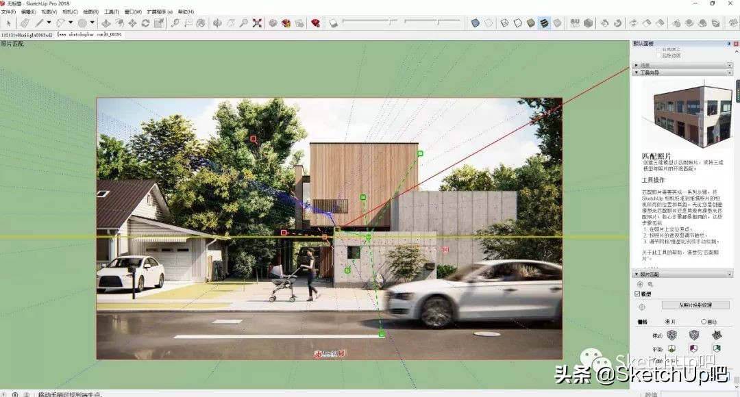 猛虎落泪指的什么动物打一生肖,猛虎落泪代表什么生肖打一动物