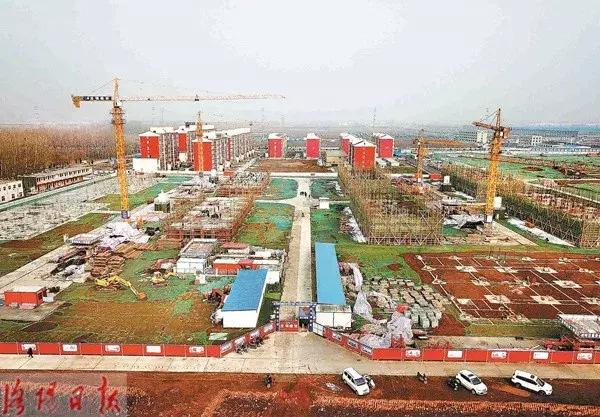 洛阳牡丹花会邀请,洛阳邀请全世界人民看牡丹